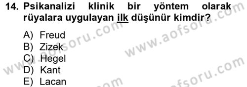 Sosyolojide Yakın Dönem Gelişmeler Dersi 2012 - 2013 Yılı (Final) Dönem Sonu Sınav Soruları 14. Soru