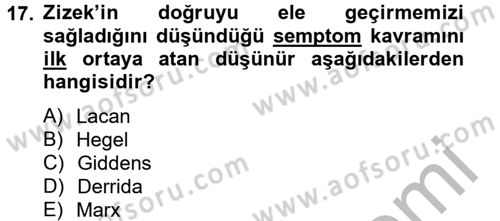 Sosyolojide Yakın Dönem Gelişmeler Dersi 2012 - 2013 Yılı (Final) Dönem Sonu Sınav Soruları 17. Soru