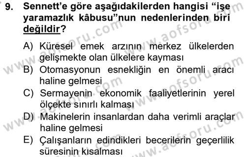 Sosyolojide Yakın Dönem Gelişmeler Dersi 2012 - 2013 Yılı (Final) Dönem Sonu Sınav Soruları 9. Soru