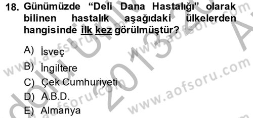 Sosyolojide Yakın Dönem Gelişmeler Dersi 2013 - 2014 Yılı (Vize) Ara Sınav Soruları 18. Soru