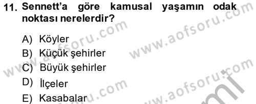 Sosyolojide Yakın Dönem Gelişmeler Dersi 2013 - 2014 Yılı (Final) Dönem Sonu Sınav Soruları 11. Soru