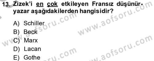 Sosyolojide Yakın Dönem Gelişmeler Dersi 2013 - 2014 Yılı (Final) Dönem Sonu Sınav Soruları 13. Soru