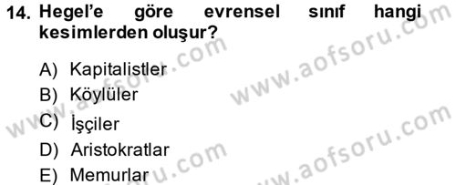 Sosyolojide Yakın Dönem Gelişmeler Dersi 2013 - 2014 Yılı (Final) Dönem Sonu Sınav Soruları 14. Soru