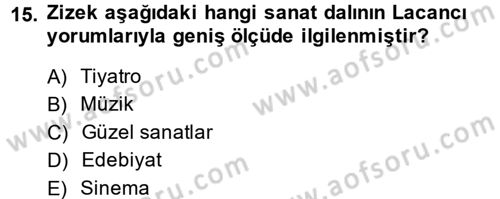 Sosyolojide Yakın Dönem Gelişmeler Dersi 2013 - 2014 Yılı (Final) Dönem Sonu Sınav Soruları 15. Soru