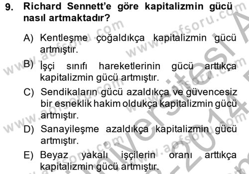 Sosyolojide Yakın Dönem Gelişmeler Dersi 2013 - 2014 Yılı (Final) Dönem Sonu Sınav Soruları 9. Soru