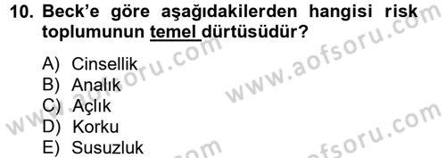 Sosyolojide Yakın Dönem Gelişmeler Dersi 2013 - 2014 Yılı Tek Ders Sınav Soruları 10. Soru