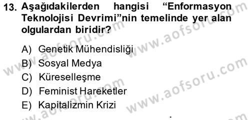 Sosyolojide Yakın Dönem Gelişmeler Dersi 2013 - 2014 Yılı Tek Ders Sınav Soruları 13. Soru