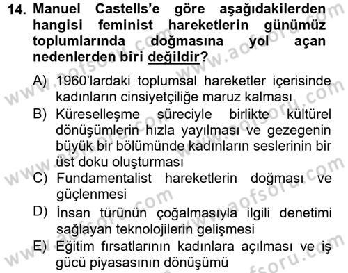 Sosyolojide Yakın Dönem Gelişmeler Dersi 2013 - 2014 Yılı Tek Ders Sınav Soruları 14. Soru
