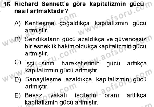 Sosyolojide Yakın Dönem Gelişmeler Dersi 2013 - 2014 Yılı Tek Ders Sınav Soruları 16. Soru