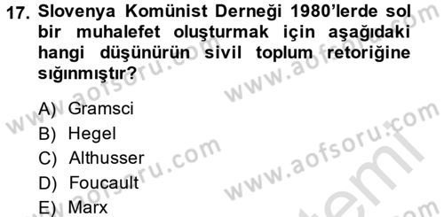 Sosyolojide Yakın Dönem Gelişmeler Dersi 2013 - 2014 Yılı Tek Ders Sınav Soruları 17. Soru
