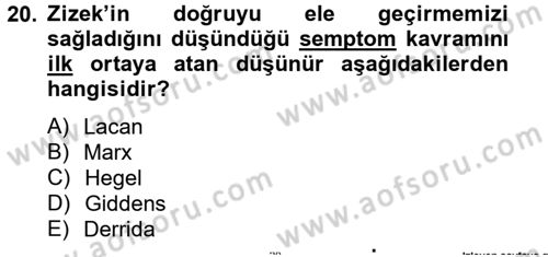Sosyolojide Yakın Dönem Gelişmeler Dersi 2013 - 2014 Yılı Tek Ders Sınav Soruları 20. Soru