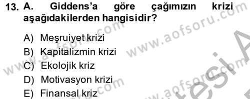 Sosyolojide Yakın Dönem Gelişmeler Dersi 2014 - 2015 Yılı (Vize) Ara Sınav Soruları 13. Soru