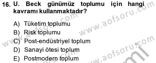 Sosyolojide Yakın Dönem Gelişmeler Dersi 2014 - 2015 Yılı (Vize) Ara Sınav Soruları 16. Soru