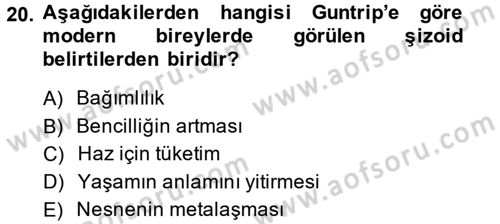 Sosyolojide Yakın Dönem Gelişmeler Dersi 2014 - 2015 Yılı (Vize) Ara Sınav Soruları 20. Soru