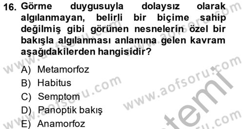 Sosyolojide Yakın Dönem Gelişmeler Dersi 2014 - 2015 Yılı (Final) Dönem Sonu Sınav Soruları 16. Soru