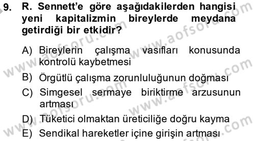 Sosyolojide Yakın Dönem Gelişmeler Dersi 2014 - 2015 Yılı (Final) Dönem Sonu Sınav Soruları 9. Soru