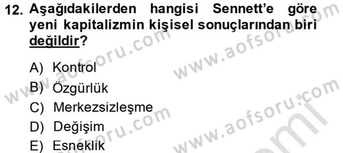Sosyolojide Yakın Dönem Gelişmeler Dersi 2014 - 2015 Yılı Tek Ders Sınav Soruları 12. Soru
