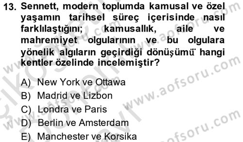 Sosyolojide Yakın Dönem Gelişmeler Dersi 2014 - 2015 Yılı Tek Ders Sınav Soruları 13. Soru