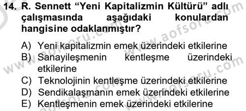 Sosyolojide Yakın Dönem Gelişmeler Dersi 2014 - 2015 Yılı Tek Ders Sınav Soruları 14. Soru