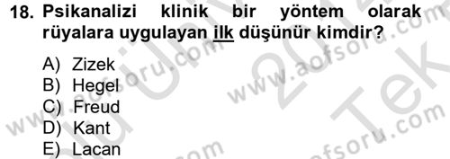 Sosyolojide Yakın Dönem Gelişmeler Dersi 2014 - 2015 Yılı Tek Ders Sınav Soruları 18. Soru