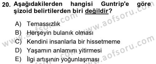 Sosyolojide Yakın Dönem Gelişmeler Dersi 2015 - 2016 Yılı (Vize) Ara Sınav Soruları 20. Soru