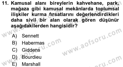 Sosyolojide Yakın Dönem Gelişmeler Dersi 2015 - 2016 Yılı (Final) Dönem Sonu Sınav Soruları 11. Soru