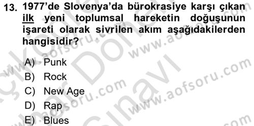 Sosyolojide Yakın Dönem Gelişmeler Dersi 2015 - 2016 Yılı (Final) Dönem Sonu Sınav Soruları 13. Soru
