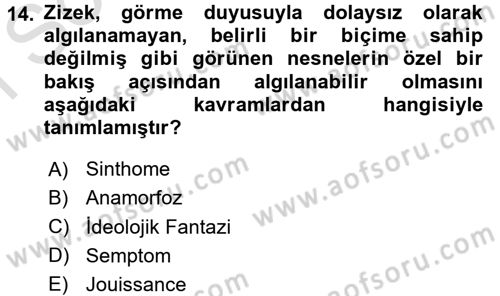 Sosyolojide Yakın Dönem Gelişmeler Dersi 2015 - 2016 Yılı (Final) Dönem Sonu Sınav Soruları 14. Soru