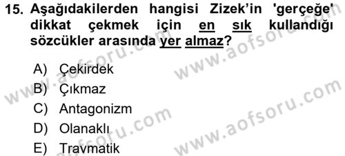 Sosyolojide Yakın Dönem Gelişmeler Dersi 2015 - 2016 Yılı (Final) Dönem Sonu Sınav Soruları 15. Soru
