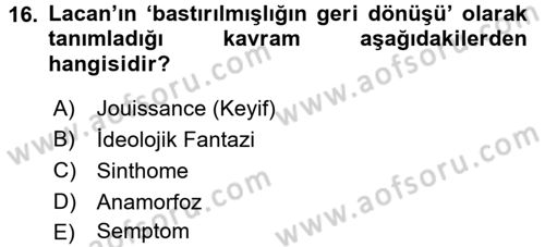 Sosyolojide Yakın Dönem Gelişmeler Dersi 2015 - 2016 Yılı (Final) Dönem Sonu Sınav Soruları 16. Soru