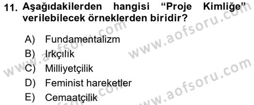 Sosyolojide Yakın Dönem Gelişmeler Dersi 2015 - 2016 Yılı Tek Ders Sınav Soruları 11. Soru