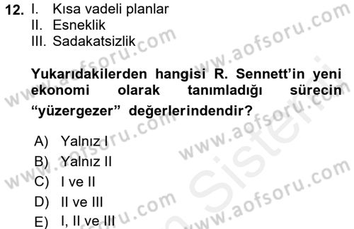 Sosyolojide Yakın Dönem Gelişmeler Dersi 2015 - 2016 Yılı Tek Ders Sınav Soruları 12. Soru