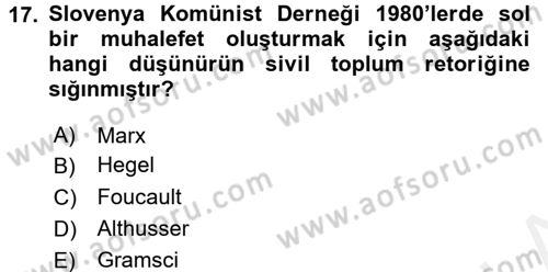 Sosyolojide Yakın Dönem Gelişmeler Dersi 2015 - 2016 Yılı Tek Ders Sınav Soruları 17. Soru