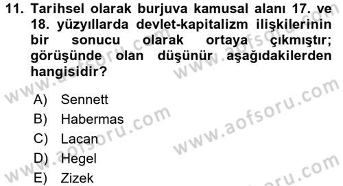 Sosyolojide Yakın Dönem Gelişmeler Dersi 2016 - 2017 Yılı (Final) Dönem Sonu Sınav Soruları 11. Soru