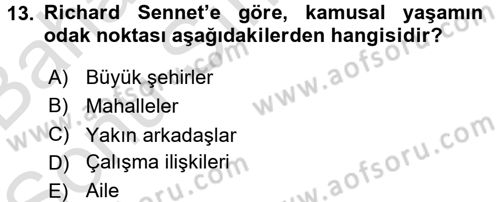 Sosyolojide Yakın Dönem Gelişmeler Dersi 2016 - 2017 Yılı (Final) Dönem Sonu Sınav Soruları 13. Soru
