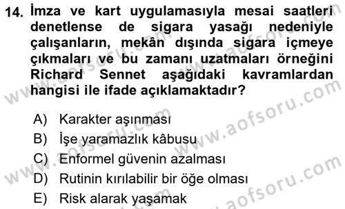 Sosyolojide Yakın Dönem Gelişmeler Dersi 2016 - 2017 Yılı (Final) Dönem Sonu Sınav Soruları 14. Soru