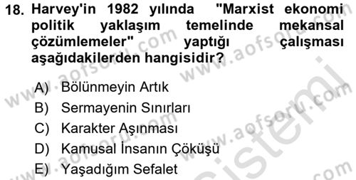 Sosyolojide Yakın Dönem Gelişmeler Dersi 2016 - 2017 Yılı (Final) Dönem Sonu Sınav Soruları 18. Soru