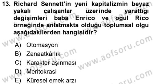 Sosyolojide Yakın Dönem Gelişmeler Dersi 2017 - 2018 Yılı 3 Ders Sınav Soruları 13. Soru