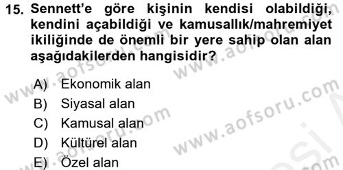 Sosyolojide Yakın Dönem Gelişmeler Dersi 2017 - 2018 Yılı 3 Ders Sınav Soruları 15. Soru