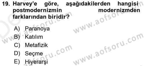 Sosyolojide Yakın Dönem Gelişmeler Dersi 2017 - 2018 Yılı 3 Ders Sınav Soruları 19. Soru