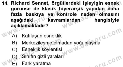 Sosyolojide Yakın Dönem Gelişmeler Dersi 2017 - 2018 Yılı (Final) Dönem Sonu Sınav Soruları 14. Soru