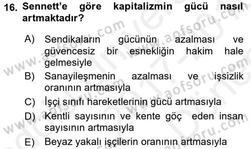 Sosyolojide Yakın Dönem Gelişmeler Dersi 2017 - 2018 Yılı (Final) Dönem Sonu Sınav Soruları 16. Soru