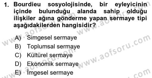 Sosyolojide Yakın Dönem Gelişmeler Dersi 2018 - 2019 Yılı 3 Ders Sınav Soruları 1. Soru
