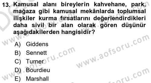 Sosyolojide Yakın Dönem Gelişmeler Dersi 2018 - 2019 Yılı 3 Ders Sınav Soruları 13. Soru