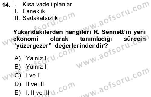 Sosyolojide Yakın Dönem Gelişmeler Dersi 2018 - 2019 Yılı 3 Ders Sınav Soruları 14. Soru