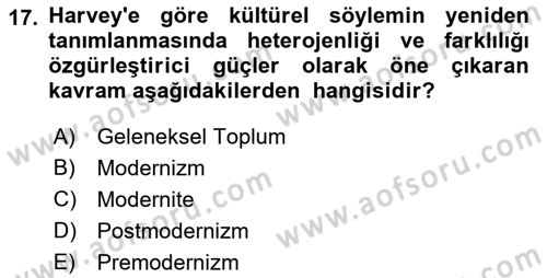 Sosyolojide Yakın Dönem Gelişmeler Dersi 2018 - 2019 Yılı 3 Ders Sınav Soruları 17. Soru