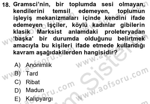 Sosyolojide Yakın Dönem Gelişmeler Dersi 2018 - 2019 Yılı 3 Ders Sınav Soruları 18. Soru