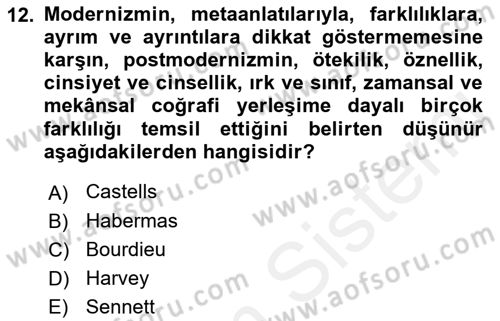 Sosyolojide Yakın Dönem Gelişmeler Dersi 2018 - 2019 Yılı (Final) Dönem Sonu Sınav Soruları 12. Soru