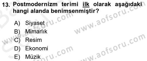Sosyolojide Yakın Dönem Gelişmeler Dersi 2018 - 2019 Yılı (Final) Dönem Sonu Sınav Soruları 13. Soru