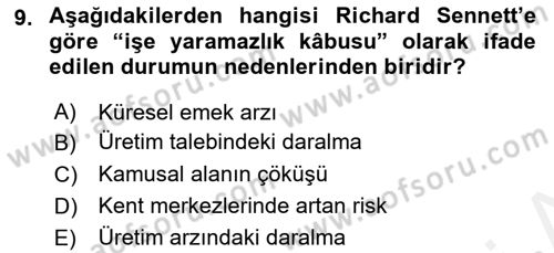 Sosyolojide Yakın Dönem Gelişmeler Dersi 2018 - 2019 Yılı (Final) Dönem Sonu Sınav Soruları 9. Soru